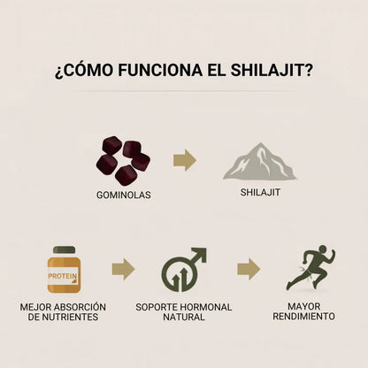 GOLD SHILAJIT GUMMIES