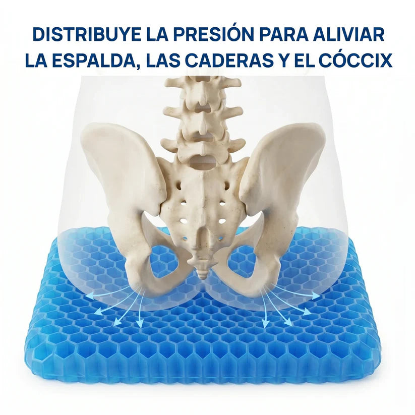Cojín de Gel STOCK LÍDER® | Alivia los dolores de espalda, caderas y coxis