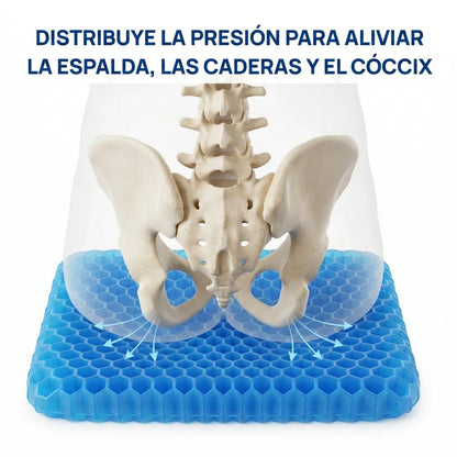 Cojín de Gel STOCK LÍDER® | Alivia los dolores de espalda, caderas y coxis